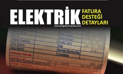 Elektrik Fatura Desteği Detayları