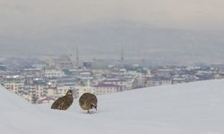 Uluslararası Bingöl 3. Fotoğrafçılar Maratonu Başlıyor