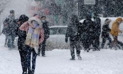 Meteoroloji Verileri: Bingöl’e Kar Geliyor