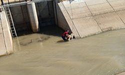 Sulama Kanalına Düşen Köpek İtfaiye Tarafından Kurtarıldı