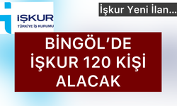 Yeni İlan: Bingöl İşkur 120 Personel Alacak