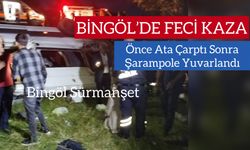 Bingöl’de Feci Kaza: Ata Çarptı Şarampole Yuvarlandı