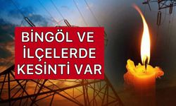 Bingöl’de 85 Noktada Elektrik Kesintisi!