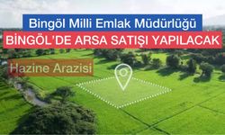 Bingöl Milli Emlak 12 Arsa Satacak