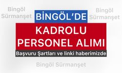 Bingöl'de 8 Kadrolu Personel Alınacak Başvuru Şartları ve Tarihi