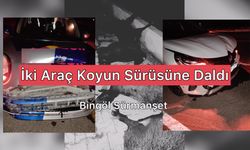 İki Araç Koyun Sürüsüne Daldı