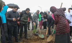 Bingöl’de Yatılı Bölge Okulunda 300 fidan toprakla buluştu