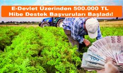 E-Devlet Üzerinden 500.000 TL Hibe Destek Başvuruları Başladı! İşte Başvuru Detayları...