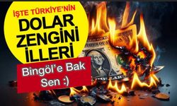 Türkiye’nin Dolar Zenginleri: Aksaray, Bingöl, Karaman, Bayburt!