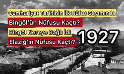 1927’de Bingöl ve Elazığ: Kırsal Nüfus Öne Çıkıyor