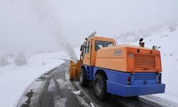 Bingöl’de 130 köy yolu ulaşıma açıldı