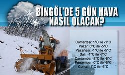 Bingöl'de 5 Günlük Hava Durumu Nasıl Olacak?