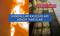 Parktaki Kauçukları Söküp Yaktılar