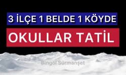 Bingöl’de Bazı Bölgelerde Okullar Tatil Edildi