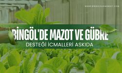 Bingöl'de Mazot ve Gübre Desteği İcmalleri Askıda