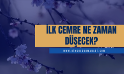 Birinci cemre ne zaman düşecek?