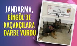 Bingöl'de Silah ve Uyuşturucu Ele Geçirildi