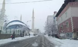 Meteoroloji’den Bingöl ve Çevresi İçin Kar Yağışı Uyarısı