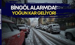 Bingöl Alarmda! Yoğun Kar Geliyor!