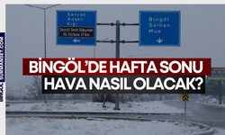 Bingöl’de Hafta sonu Hava Nasıl Olacak?