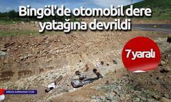 Bingöl'de otomobil dere yatağına devrildi: 7 yaralı