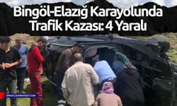 Bingöl-Elazığ Karayolunda Trafik Kazası: 4 Yaralı