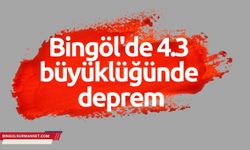 Bingöl'de 4.3 büyüklüğünde deprem