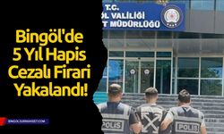 Bingöl'de Aranan Şahıs Adalete Teslim Edildi!