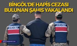 Bingöl'de Kesinleşmiş Hapis Cezası Bulunan Şahıs Yakalandı