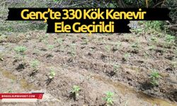 Genç’te 330 Kök Kenevir Ele Geçirildi
