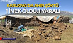 Karlıova’da Ahır Çöktü: 1 İnek Öldü, 1 Yaralı