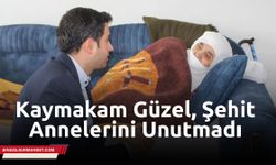 Kaymakam Güzel, Şehit Annelerini Unutmadı