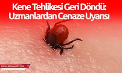 Kene Tehlikesi Geri Döndü: Uzmanlardan Cenaze Uyarısı
