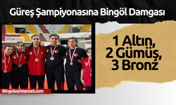 Güreş Şampiyonasına Bingöl Damgası: 1 Altın, 2 Gümüş, 3 Bronz