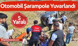 Genç-Diyarbakır Yolunda Kaza