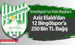 Aziz Elaldı’dan 12 Bingölspor’a 250 Bin TL Bağış