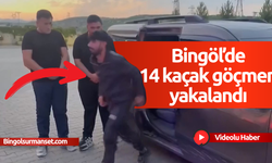 Bingöl’de 14 kaçak göçmen yakalandı, 2 organizatör tutuklandı