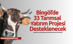 Bingöl’de 33 Tarımsal Yatırım Projesi Desteklenecek