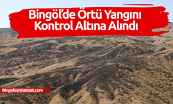 Bingöl’de örtü yangını kontrol altına alındı