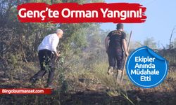 Ormanda Alevler Yükseldi, Müdahale Anında Geldi
