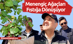 Bingöl’de Menengiç Alanları Fıstıkla Canlanıyor