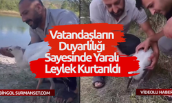 Vatandaşların Duyarlılığı Sayesinde Yaralı Leylek Kurtarıldı