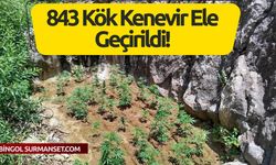 Bingöl’de Zehir Tacirlerine Geçit Yok