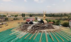 Genç’te Yuvadan Düşen Leylek Yavrusu Kurtarıldı