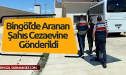 Bingöl’de Aranan Şahıs Cezaevine Gönderildi