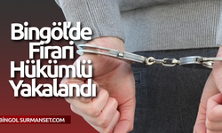 Bingöl’de Firari Hükümlü Yakalandı