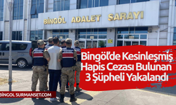 Bingöl’de Kesinleşmiş Hapis Cezası Bulunan 3 Şüpheli Yakalandı