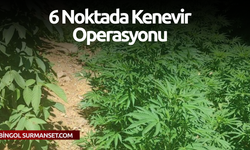 6 Noktada Kenevir Operasyonu