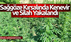 Sağgöze Kırsalında Kenevir ve Silah Yakalandı