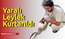 Yaralı Leylek Kurtarıldı